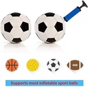 Pro Sports Ball Inflator Pump Tool