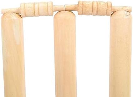 Cricket Stumps With Spring Stand