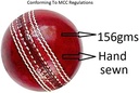 CRICKET HARD BALL