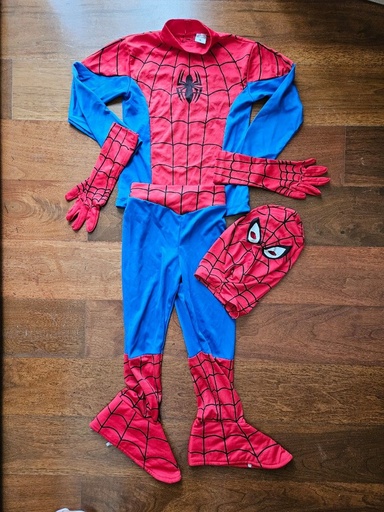 Spiderman Costume